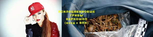 гидропоника Медвежьегорск